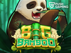 Bingo casino games99